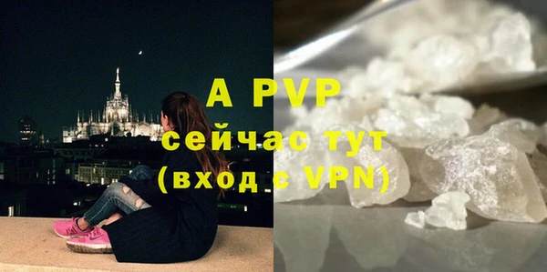 индика Абаза