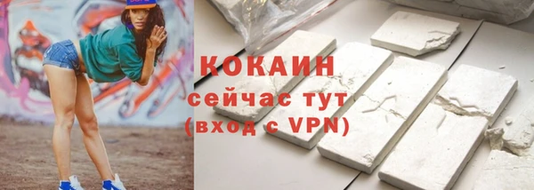 индика Абаза
