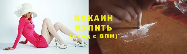 индика Абаза