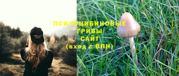 индика Абаза