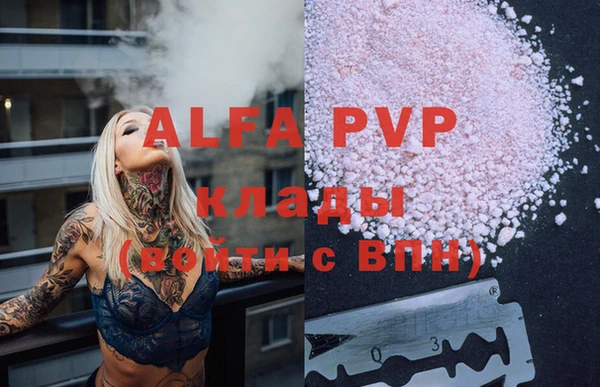 индика Абаза