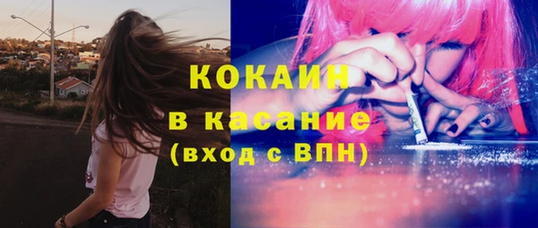 индика Абаза