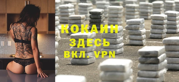 индика Абаза
