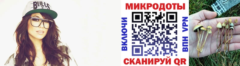 Псилоцибиновые грибы Cubensis  ссылка на мегу вход  Кириллов 