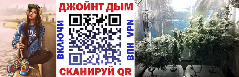 Конопля семена  даркнет сайт  Кириллов 